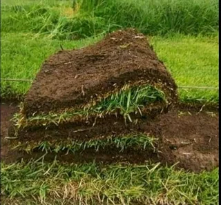 PROFESSIONALS WITH IMMENSE EXPERIENCE IN INSTALLATION &amp; LAYING NATIONAL GRASS