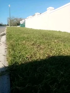 Supply and installa Cyndone grass