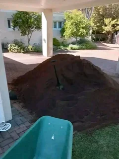 Roll on lawn buffalo grass