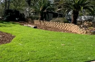 LM Berea grass.      Cynadone grass and buffalo grass. Supply and installa