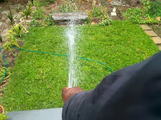 LM Berea grass.      Cynadone grass and buffalo grass. Supply and installa