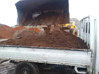 Roll on lawn Lm Berea grass