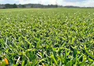 PROFESSIONALS WITH IMMENSE EXPERIENCE IN INSTALLATION &amp; LAYING NATIONAL GRASS