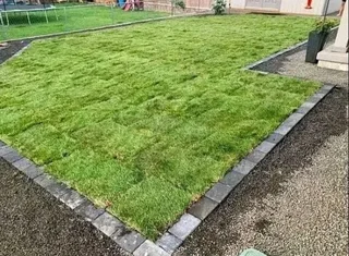 Cynadone grass and compost weed free