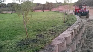 Roll on lawn buffalo grass