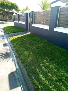 Roll on lawn buffalo grass