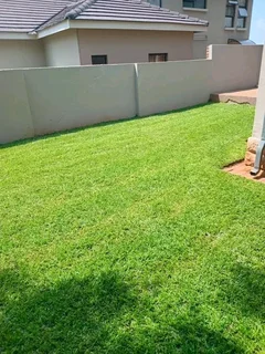 Supply and installa Lm Berea grass and Kikuyu grass