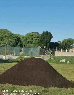 Supply and installa Lm Berea grass and Kikuyu grass