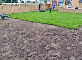 Green And Fresh Grass Straight From The Farm  Whatsapp Number 067270780