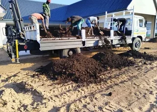 Roll on lawn Kikuyu grass