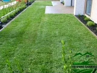 Roll on lawn Kikuyu grass