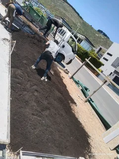 We do supply and installa buffalo grass