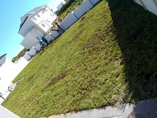 Roll on lawn Lm Berea grass