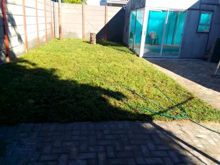 Roll on lawn Lm Berea grass