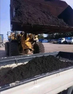 Supply and installa Lm Berea grass