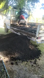 Supply and installa Lm Berea grass