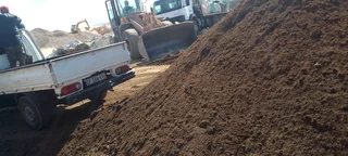 Roll on lawn  Kikuyu grass and buffalo grass weed free