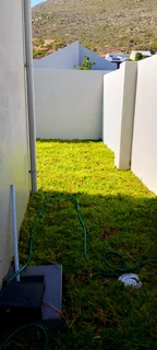 Roll on lawn  Kikuyu grass and buffalo grass weed free