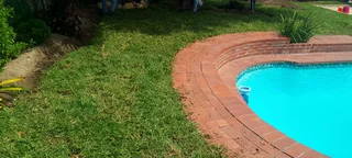 Roll on lawn  Kikuyu grass and buffalo grass weed free