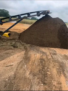 Fresh and green Kikuyu grass