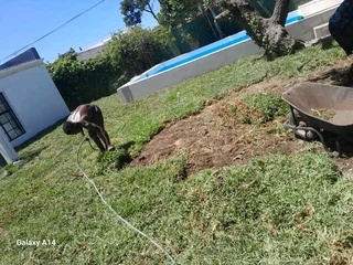 Roll on lawn Kikuyu grass