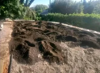 Roll on lawn Kikuyu grass