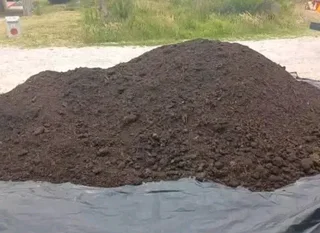 Roll on lawn Kikuyu grass