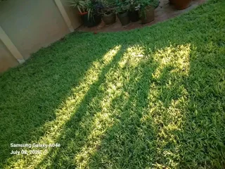 Kikuyu grass ,/Cynadone grass,& Lm Berea grass