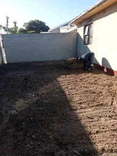 Kikuyu grass ,/Cynadone grass,&amp; Lm Berea grass