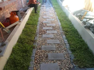 Kikuyu grass ,/Cynadone grass,&amp; Lm Berea grass