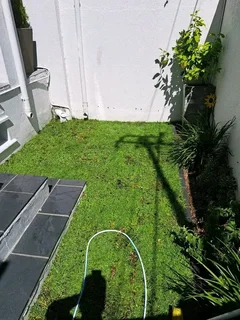 Delivery and installa buffalo grass &amp; garden soil potting soil and compost weed free