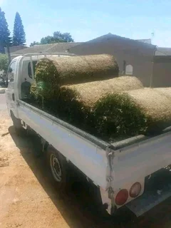 Delivery and installa buffalo grass &amp; garden soil potting soil and compost weed free