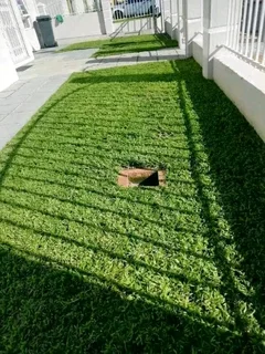 Roll on lawn Cynadone grass and compost weed free