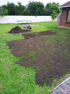 Delivery and installa buffalo grass