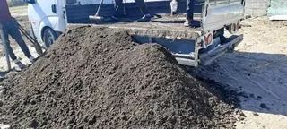 Delivery and installa buffalo grass