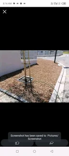 Roll on lawn Lm Berea grass and Kikuyu grass