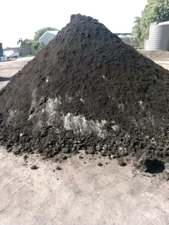 Roll on lawn Lm Berea grass and Kikuyu grass