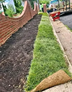 Green And Fresh Grass Straight From The Farm  Whatsapp Number 067270780