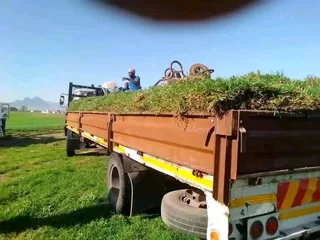 Roll on lawn Kikuyu grass