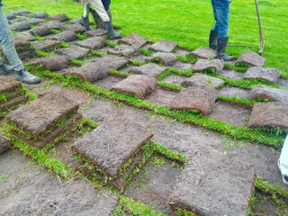 Roll on lawn Kikuyu grass