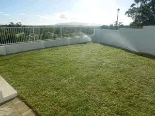 Supply and installa buffalo grass and Kikuyu grass