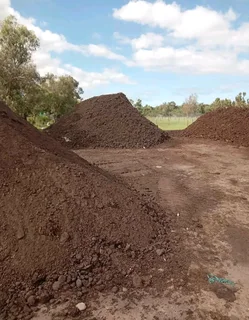 Supply and installa buffalo grass and Kikuyu grass