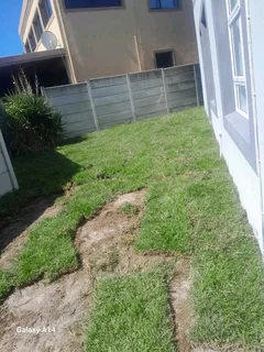 Supply and installa buffalo grass and Kikuyu grass