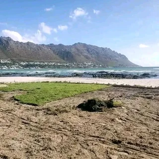 Delivery and installa grass