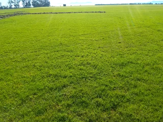 Delivery and installa grass