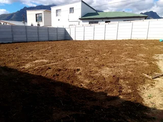 LM Berea grass and Kikuyu grass