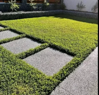 GREEN AND FRESH GRASS STRAIGHT FROM THE FARM  WhatsApp number 067270780