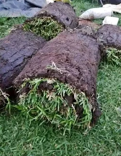 We do supply and installa buffalo grass and Kikuyu grass