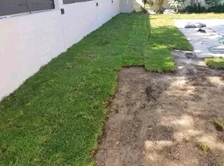 We do supply and installa buffalo grass and Kikuyu grass