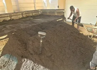 We do supply and installa buffalo grass and Kikuyu grass